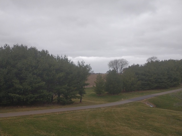 8597 East Winneshiek Road Ridott, IL 61067 - Photo 46 of 49 a view of a yard with a lake view