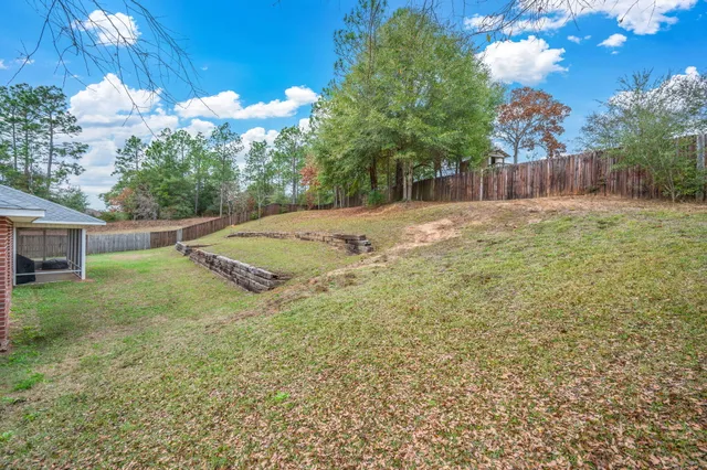 a view of a backyard