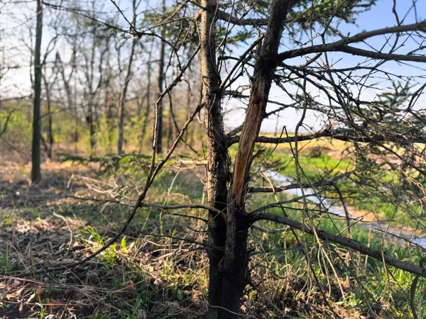 $318,000 | 5.3 M/l Acres Palmer, Lake Geneva, WI 53147