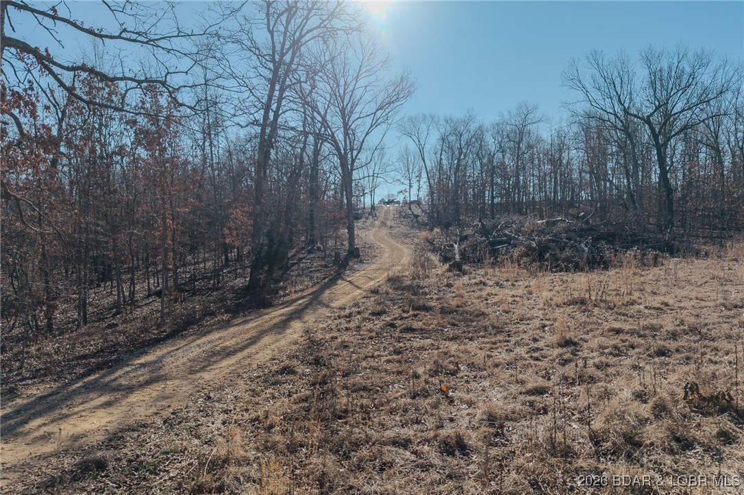309 Smokey Hills Road Camdenton, MO 65020 - Photo 12 of 29