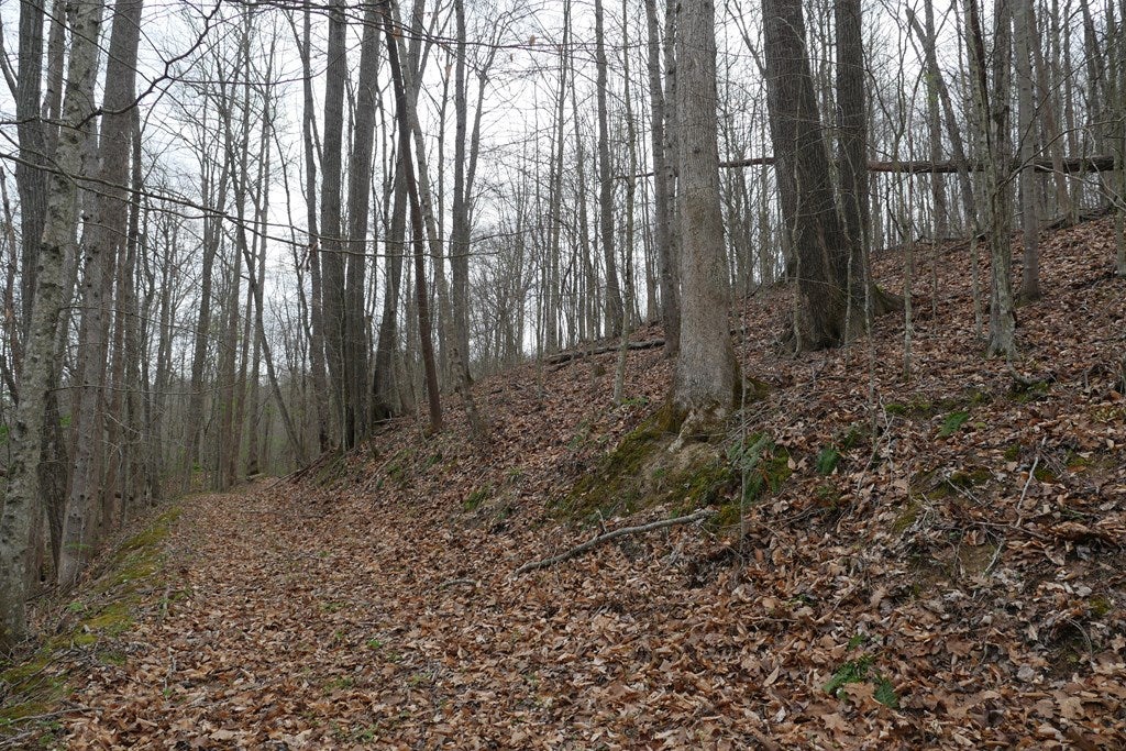Tbd Valley Spring Road, Unit 1 Jonesville, VA 24263 - Photo 21 of 55 Gallery Image 21