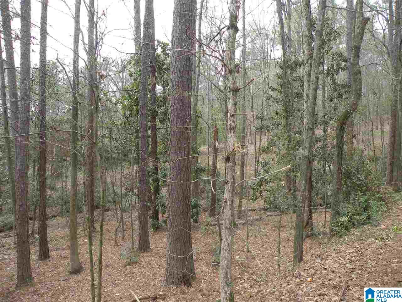 2423 Overhill Road Sylacauga, AL 35150 - Photo 38 of 38