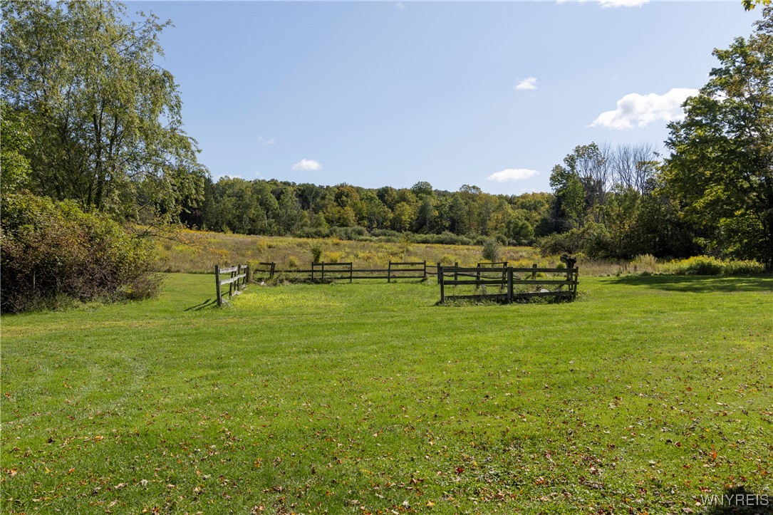 8919 State Road Colden, NY 14033 - Photo 20 of 29