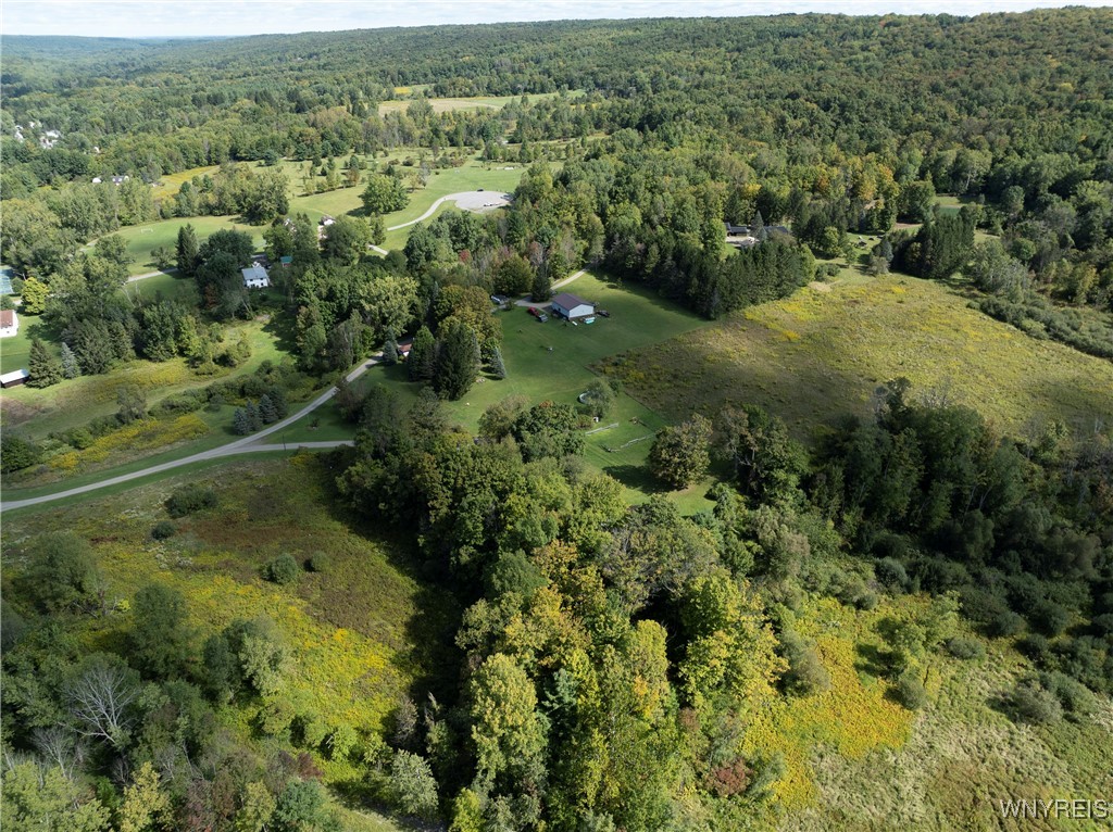 8919 State Road Colden, NY 14033 - Photo 23 of 29