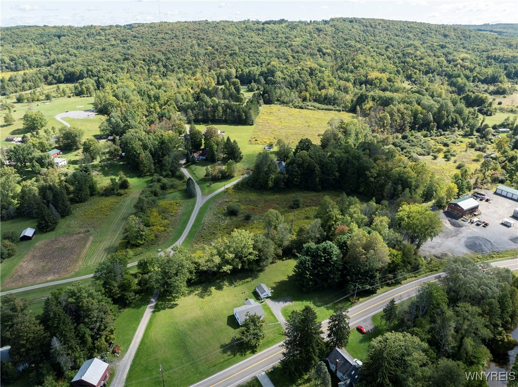 8919 State Road Colden, NY 14033 - Photo 4 of 29