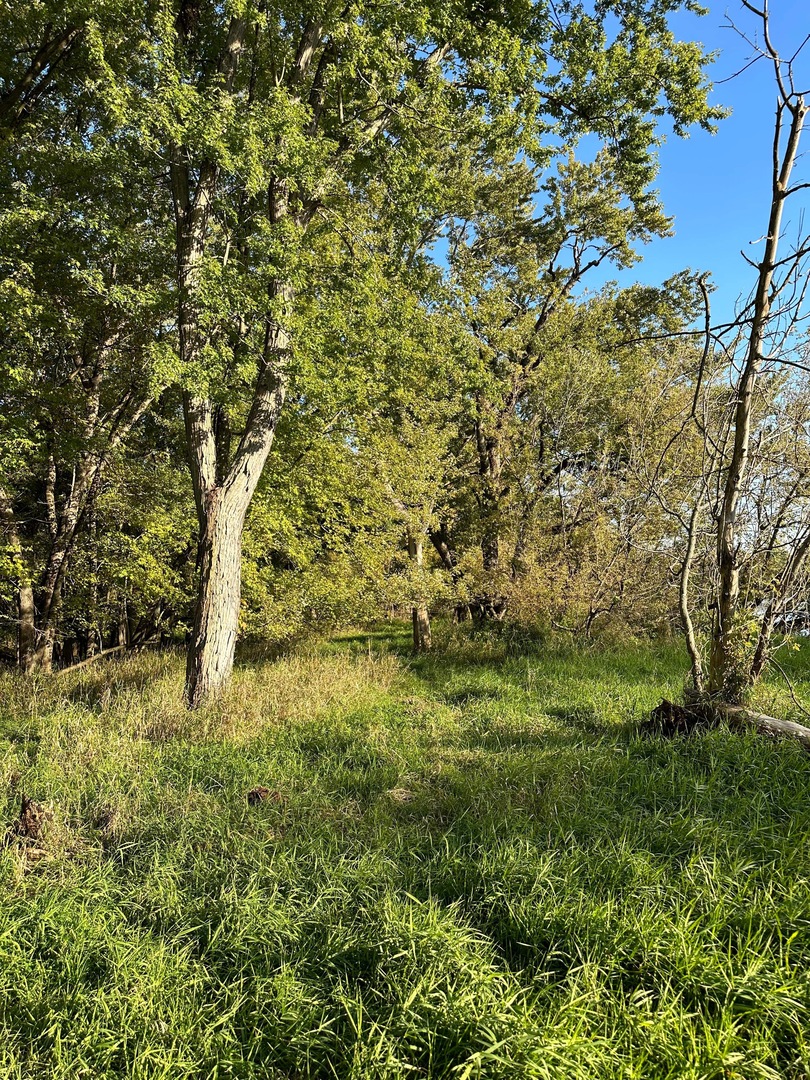 0 North River Road Oregon, IL 61061 - Photo 1 of 1 Gallery Image 1