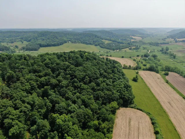 $1,000,000 | S4890 Pine Avenue, Hillsboro, WI 54634