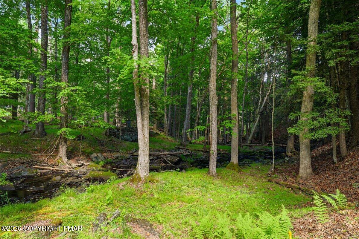 178 Westcolang Road Lackawaxen, PA 18435 - Photo 52 of 67 Yard