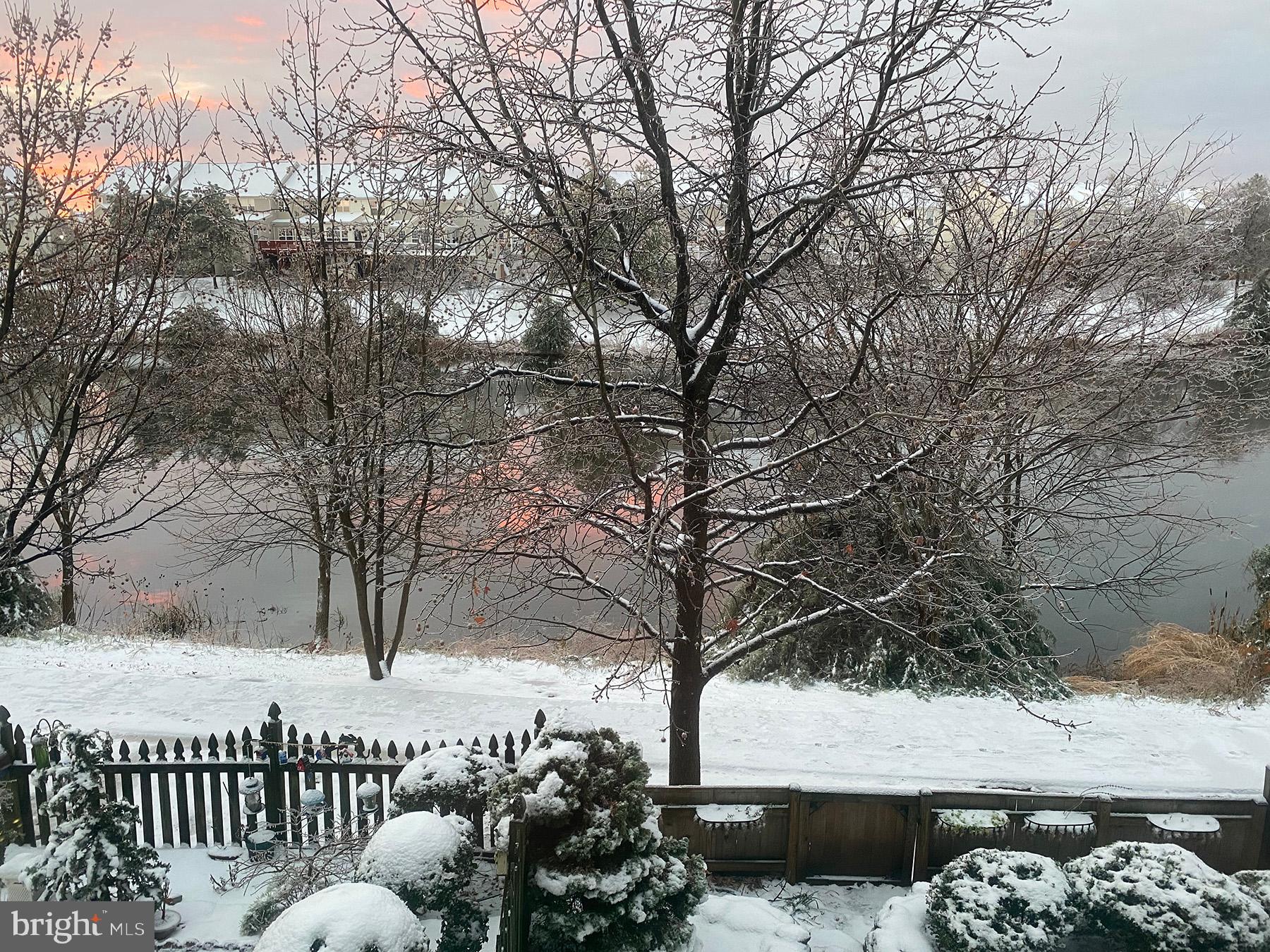 44099 Rising Sun Terrace Ashburn, VA 20147 - Photo 39 of 52 Something Beautiful to See in Every Season