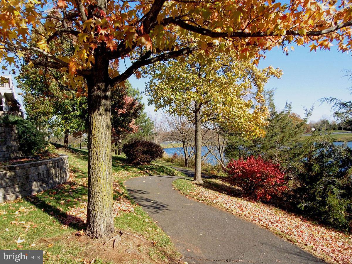 44099 Rising Sun Terrace Ashburn, VA 20147 - Photo 46 of 52