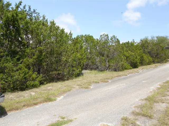 a view of a yard with a tree