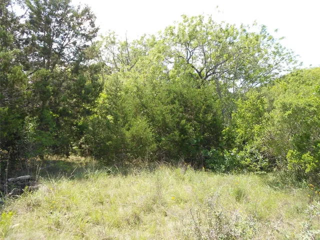 a view of a dry yard with mountains in the background