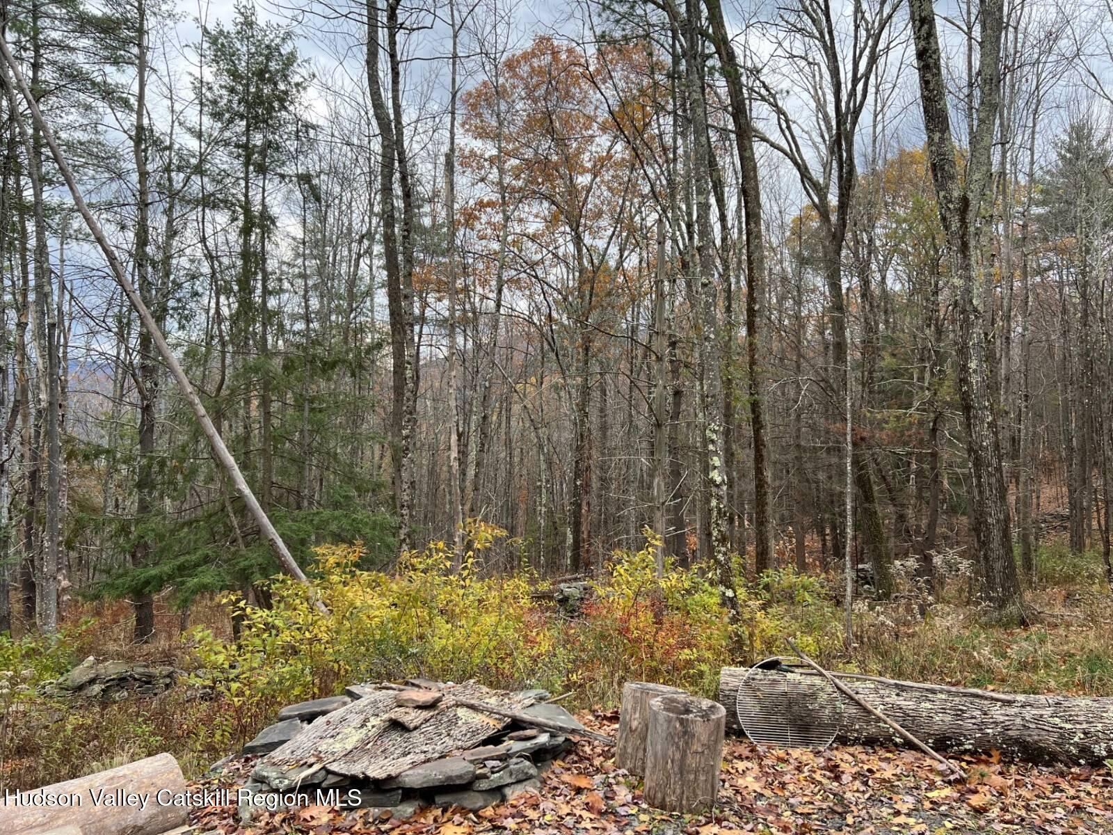98 Norwegian Road Prattsville, NY 12468 - Photo 7 of 13 11401415-S3NLY641KhFpc64l