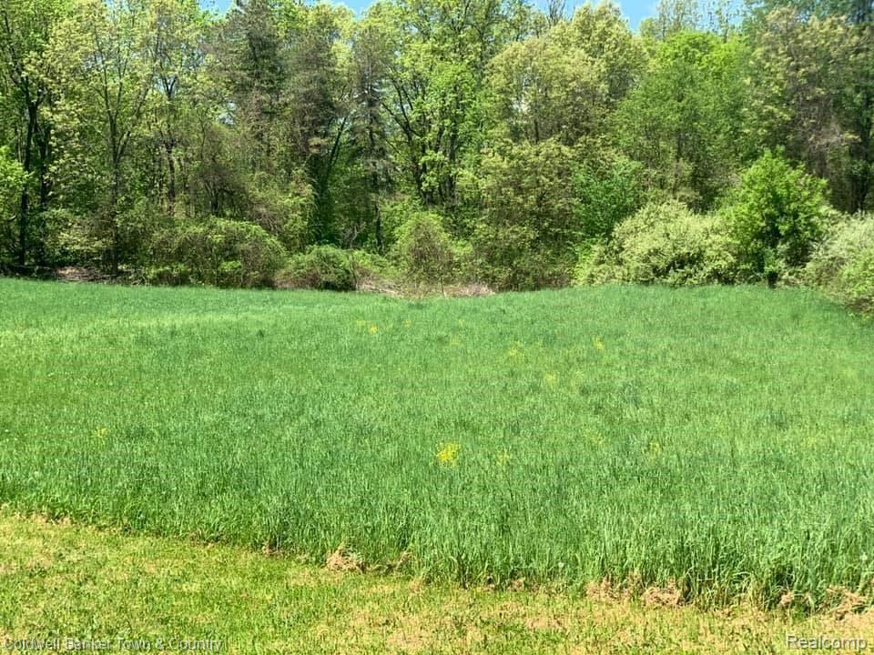 3 Weaver Road Milford, MI 48381 - Photo 1 of 4