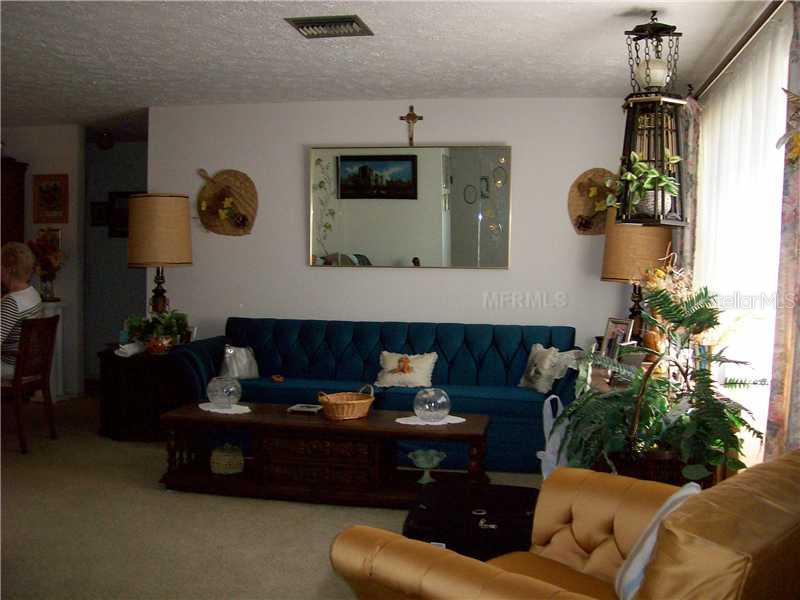 6217 High Street New Port Richey, FL 34653 - Photo 1 of 1 Living Room
