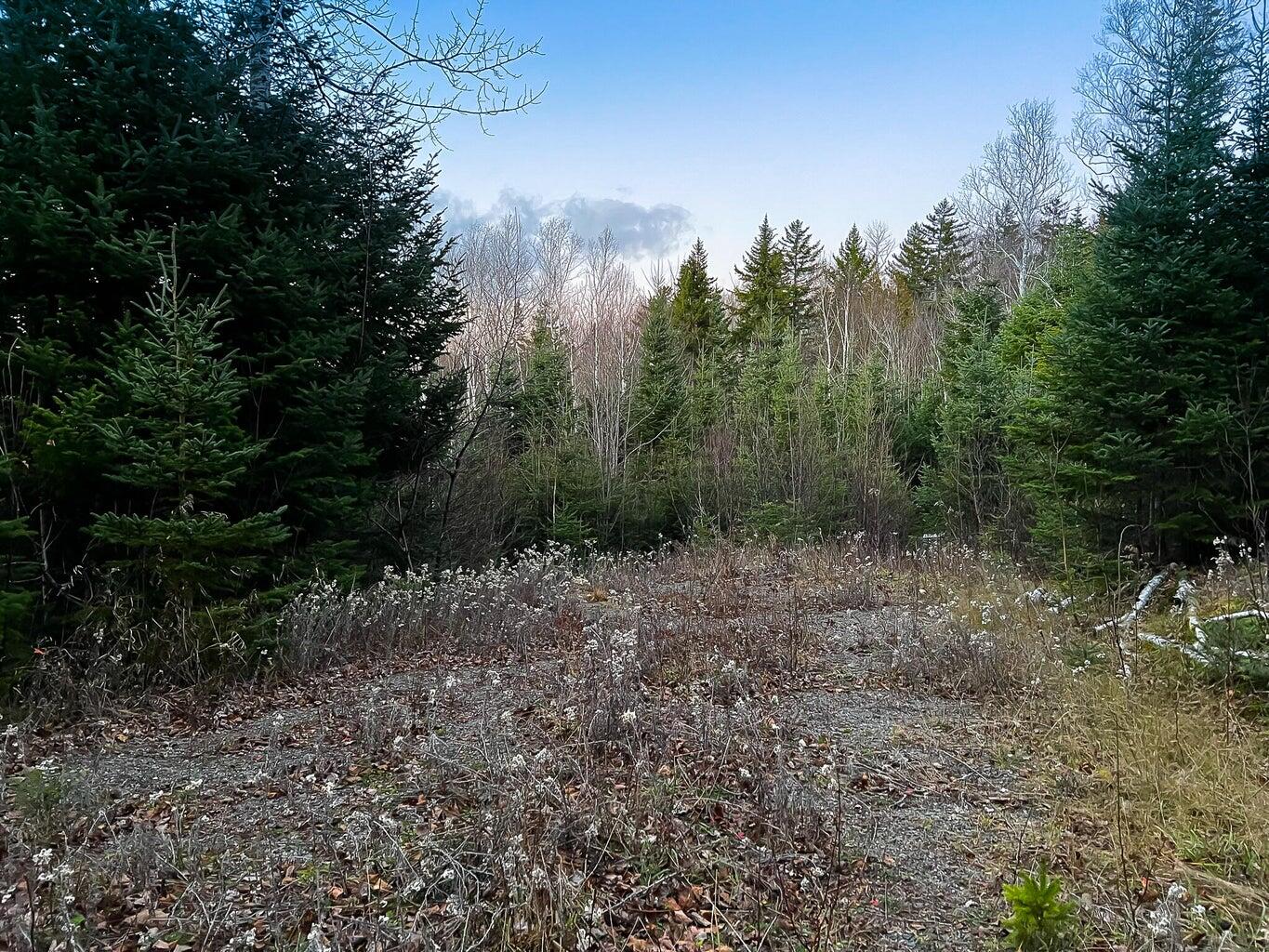 Lot 16 Mill Brook Road Sandy River Plt, ME 04970 - Photo 17 of 44