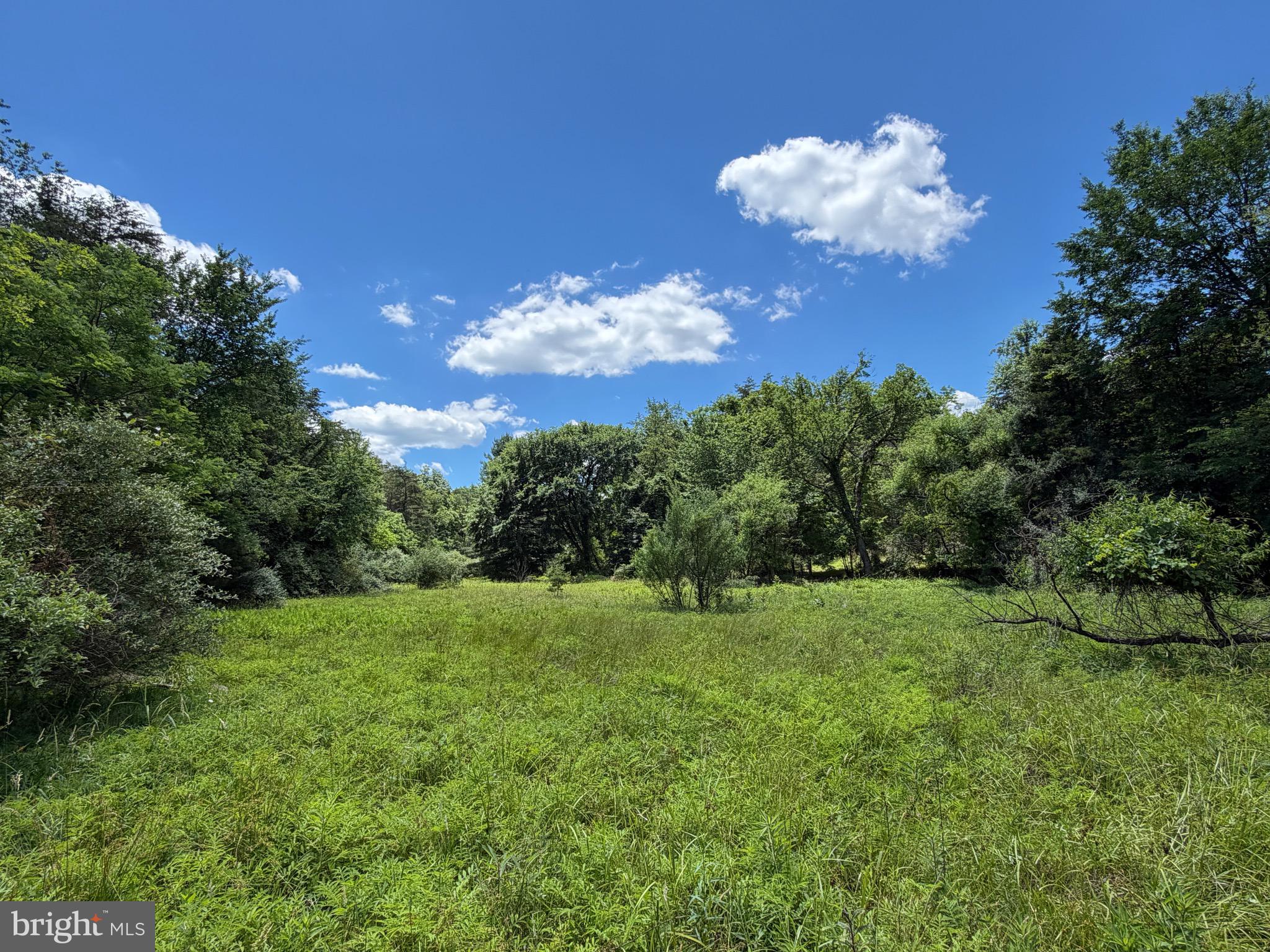 511 Chickadee Road Purgitsville, WV 26852 - Photo 24 of 99