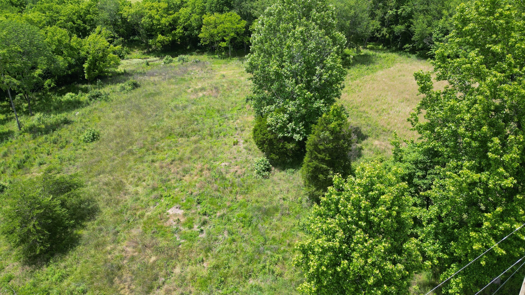 5 Poplar Ridge Lane Chapmansboro, TN 37035 - Photo 14 of 34