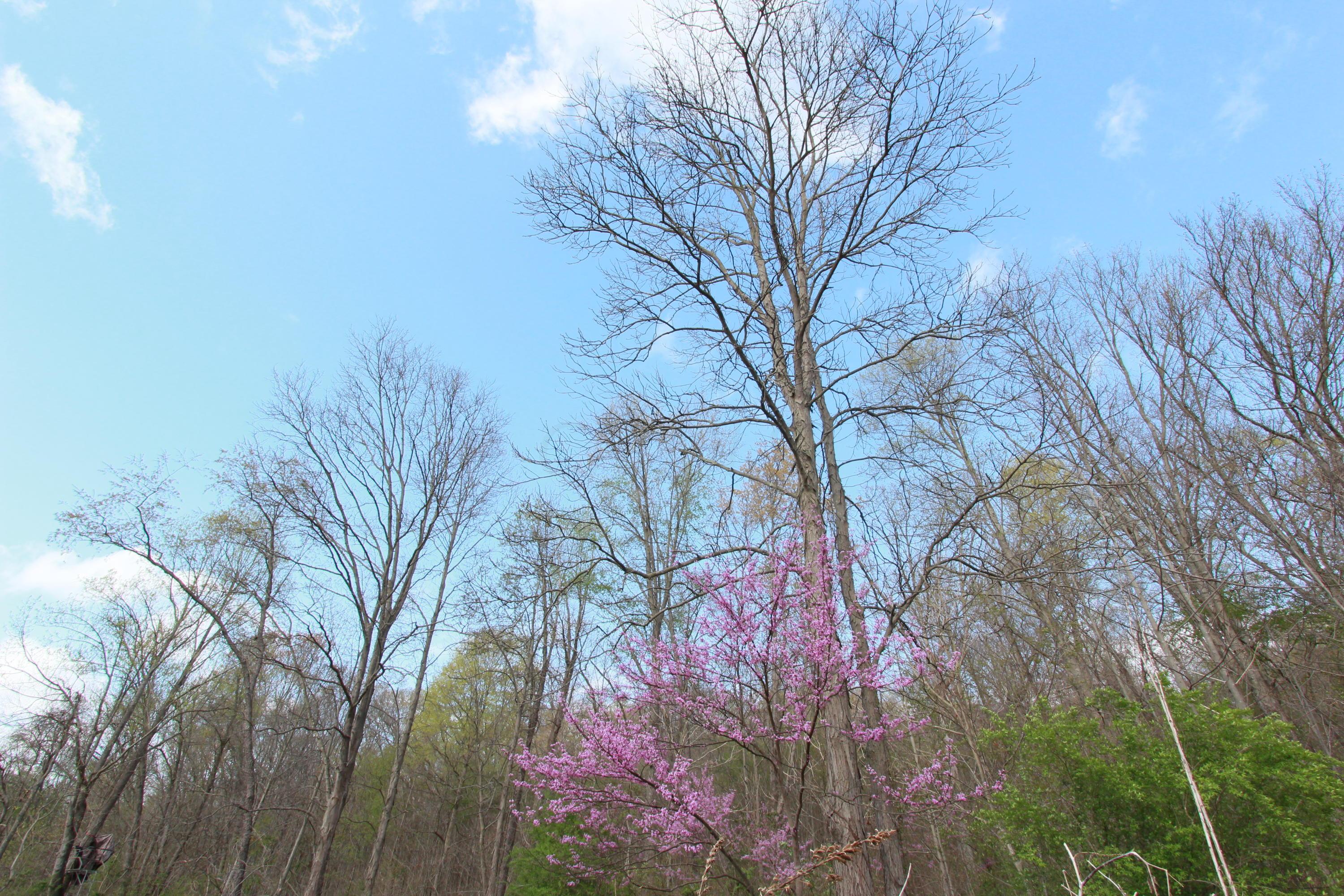 4292 Black Run Road Chillicothe, OH 45601 - Photo 17 of 34
