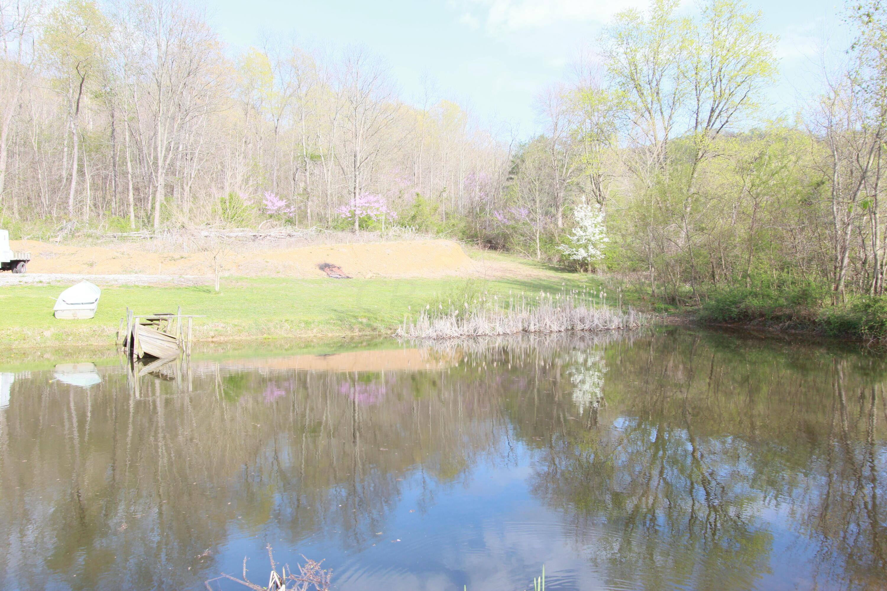 4292 Black Run Road Chillicothe, OH 45601 - Photo 4 of 34