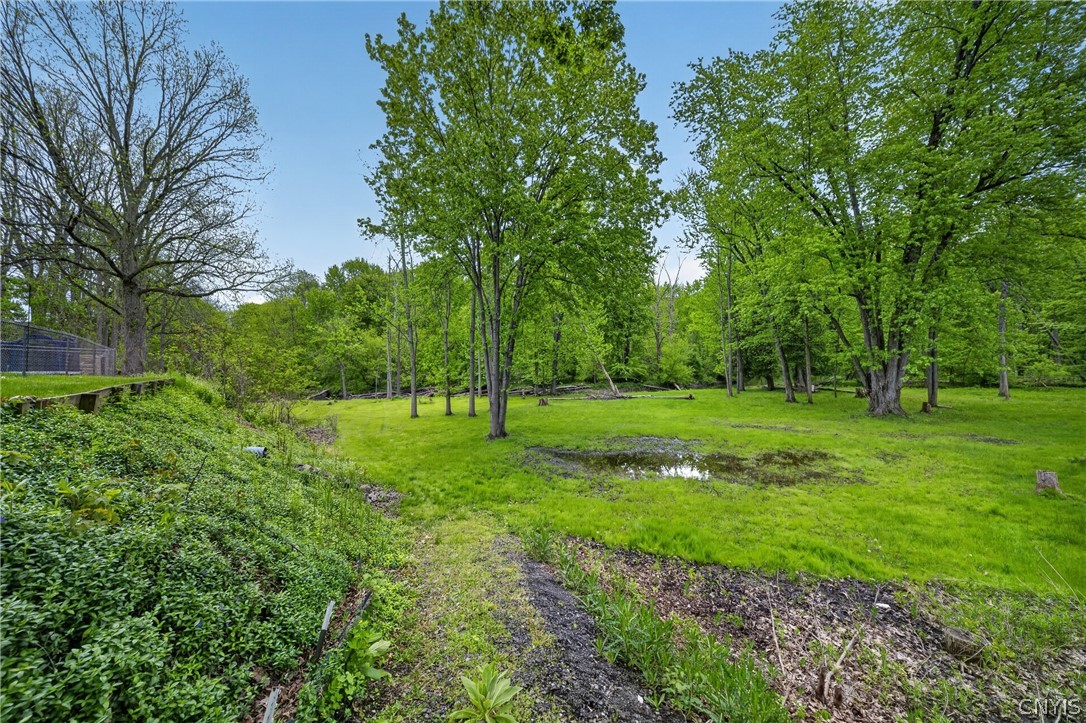 400 East Avenue Manlius, NY 13116 - Photo 48 of 50