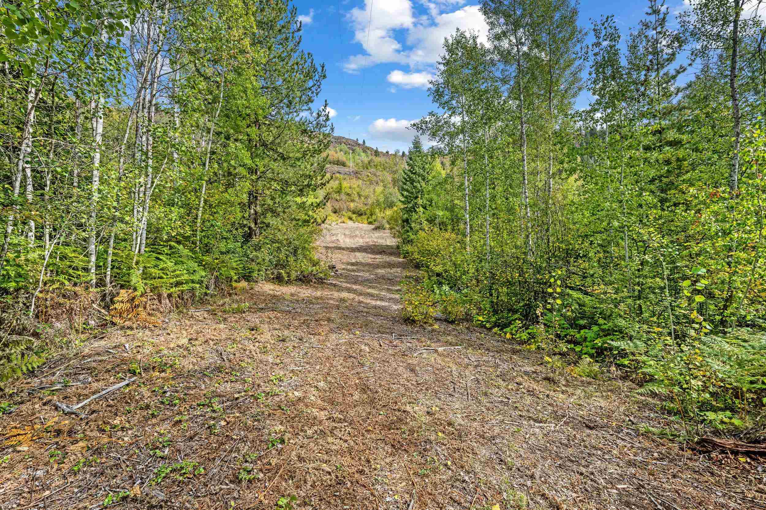 452 Catamount Ridge Lane Ione, WA 99139 - Photo 8 of 47 Gallery Image 8