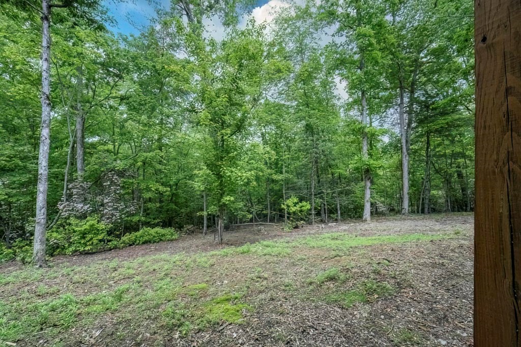 1085 Dills Road Blue Ridge, GA 30513 - Photo 47 of 54 Gallery Image 47