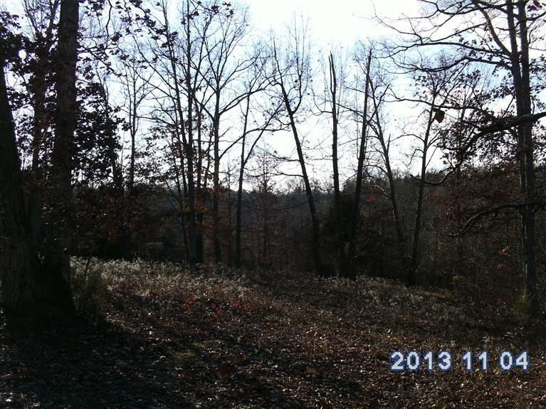 341 Crows Rdg Lane, Unit 25 Berry, KY 41003 - Photo 2 of 6 Photo 2