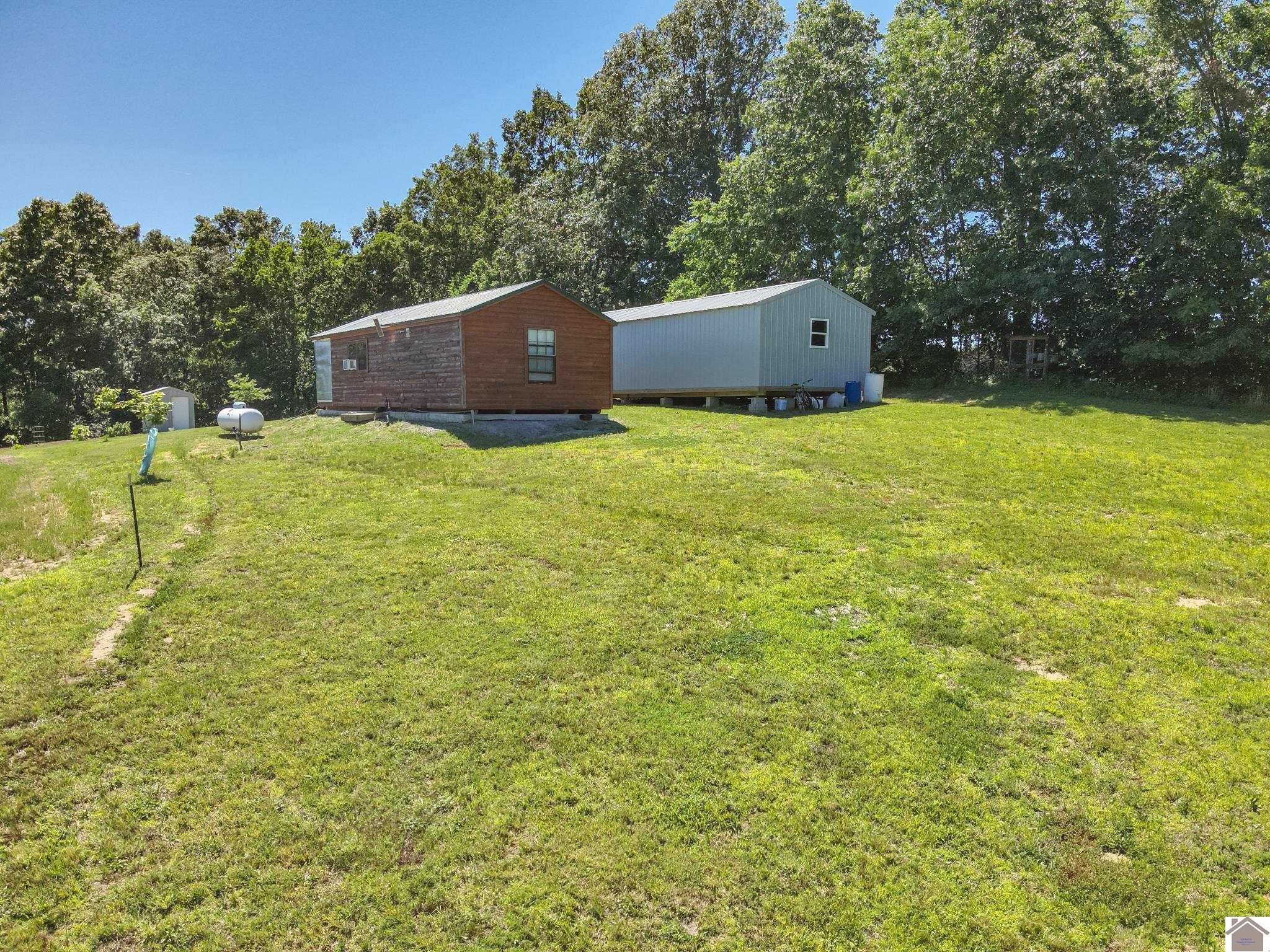 869 Cave Spring Road Smithland, KY 42081 - Photo 32 of 37 Back of the Buildings