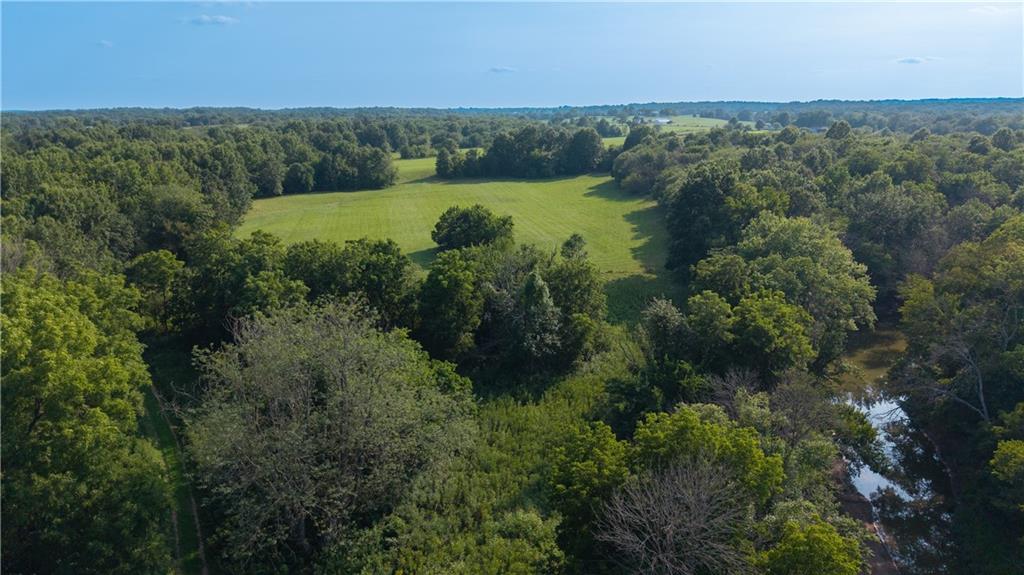 Tbd Southeast 671st Road Warrensburg, MO 64093 - Photo 11 of 24 Gallery Image 11