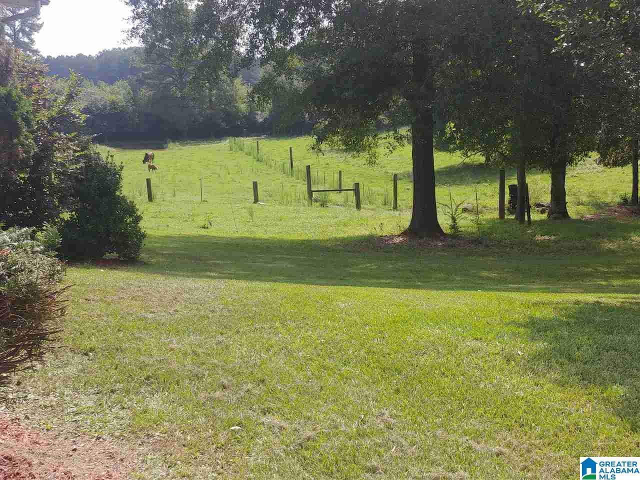 806 Easonville Road Cropwell, AL 35054 - Photo 14 of 16