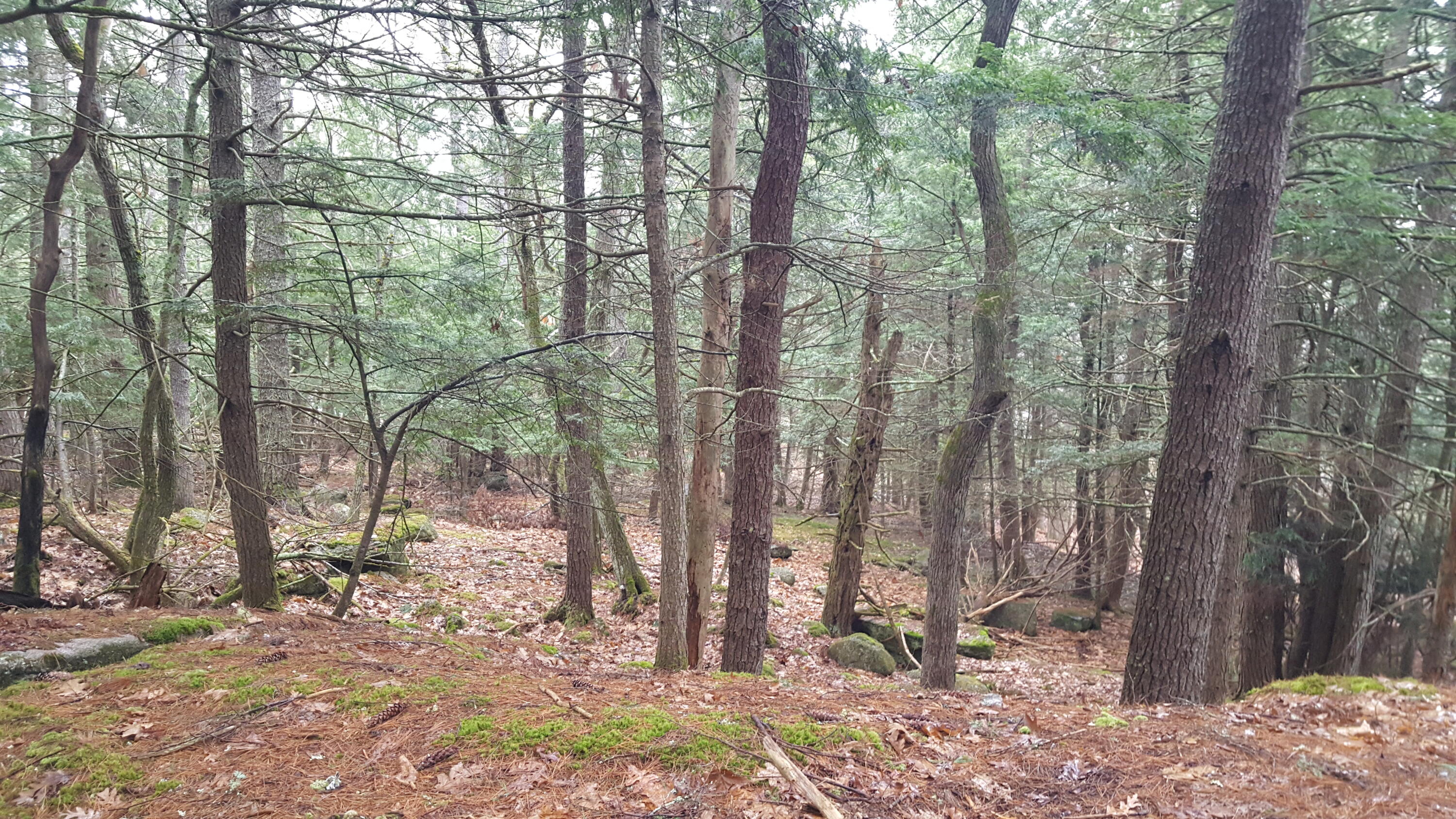 53 Johnson Road Windham, ME 04062 - Photo 10 of 22