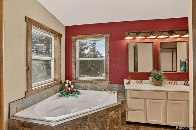 a bathroom with a sink a mirror and a potted plant