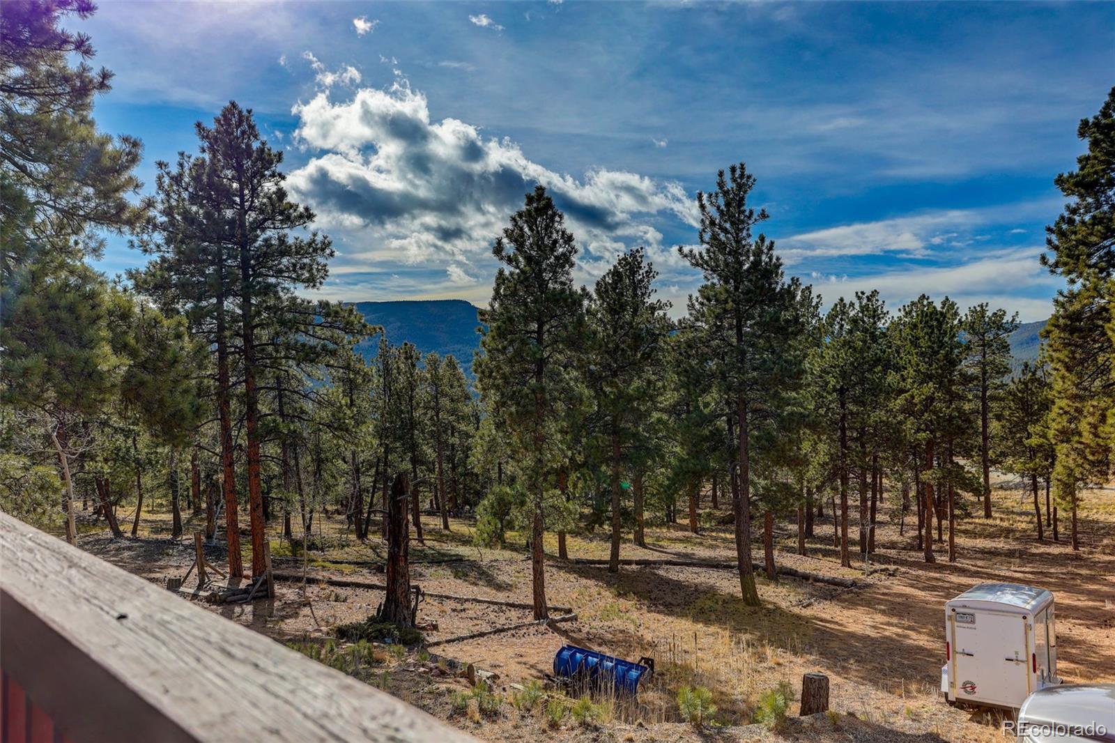 50 Rd P78 Bailey, CO 80421 - Photo 29 of 48 a view of a house with a yard