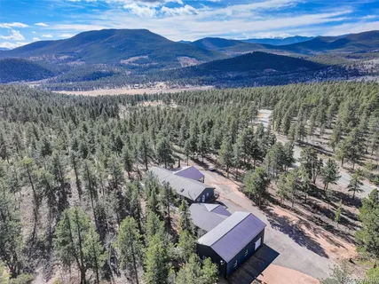 a view of a yard with trees in the background