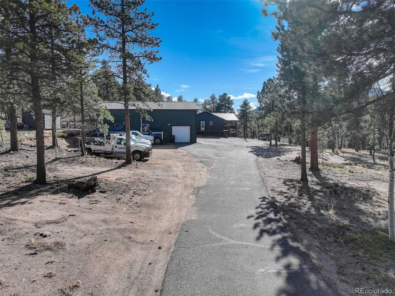 50 Rd P78 Bailey, CO 80421 - Photo 45 of 48 a view of a yard with trees in the background