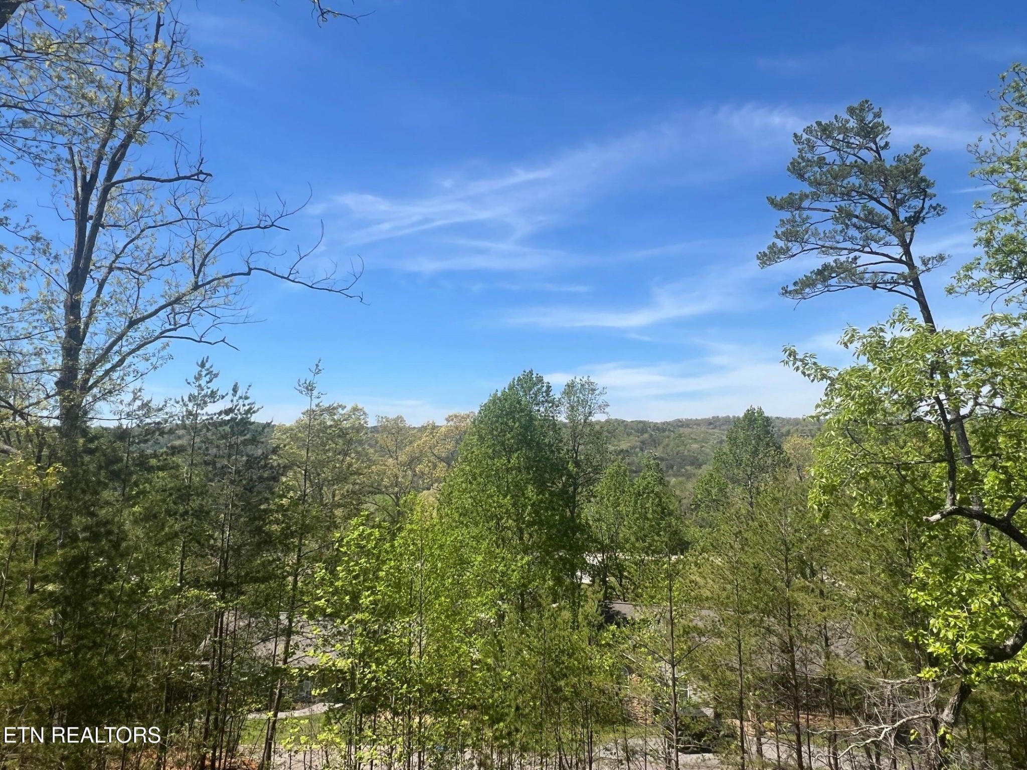 850 Trinity View Circle Seymour, TN 37865 - Photo 2 of 3 a view of a bunch of trees and bushes