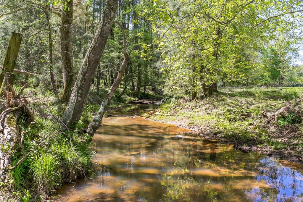 725 Watson Lake Road Fairmount, GA 30139 - Photo 1 of 1 Views of creek that runs through entire property.