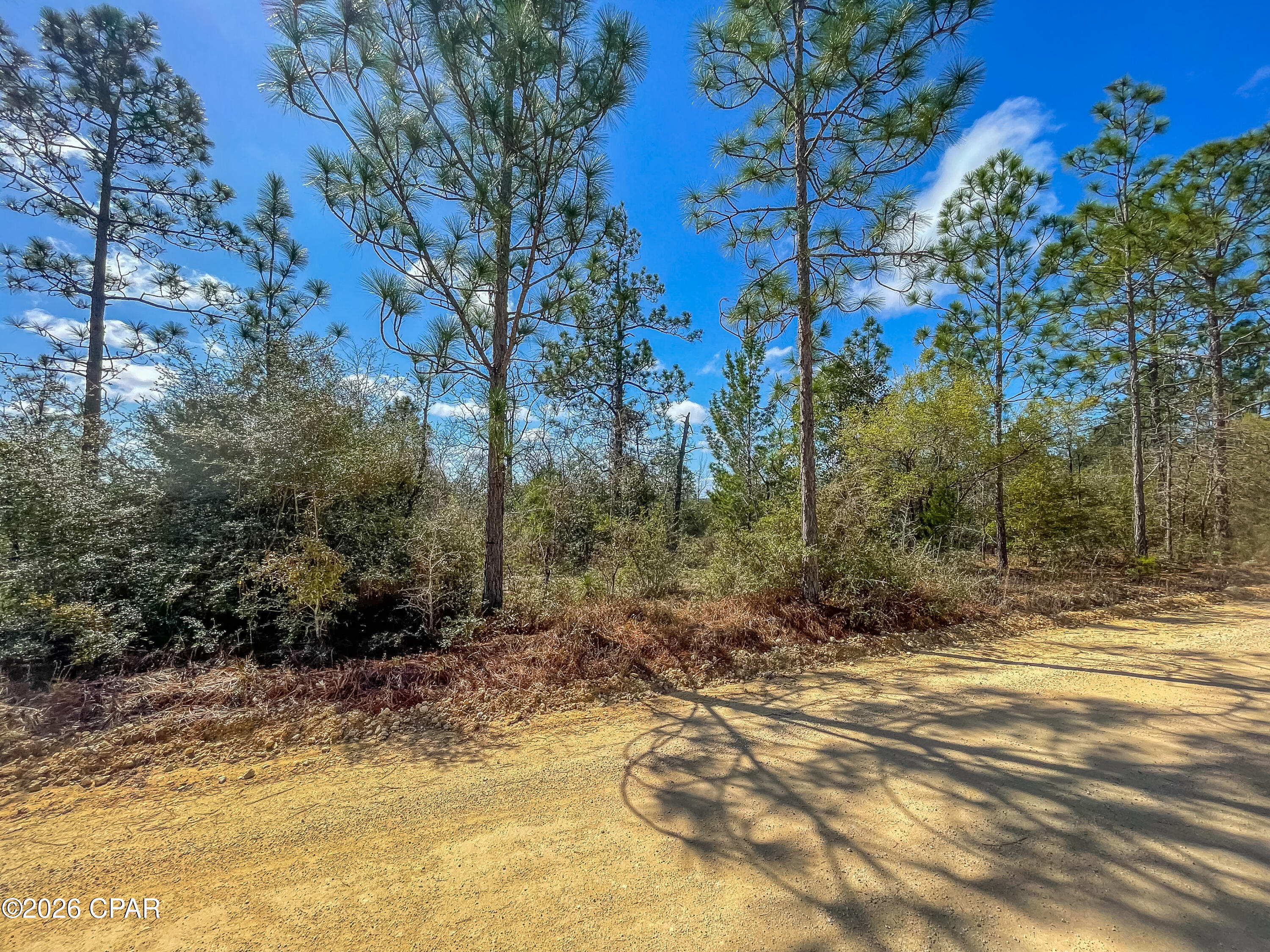 4303 Twin Ponds Road Marianna, FL 32448 - Photo 7 of 24