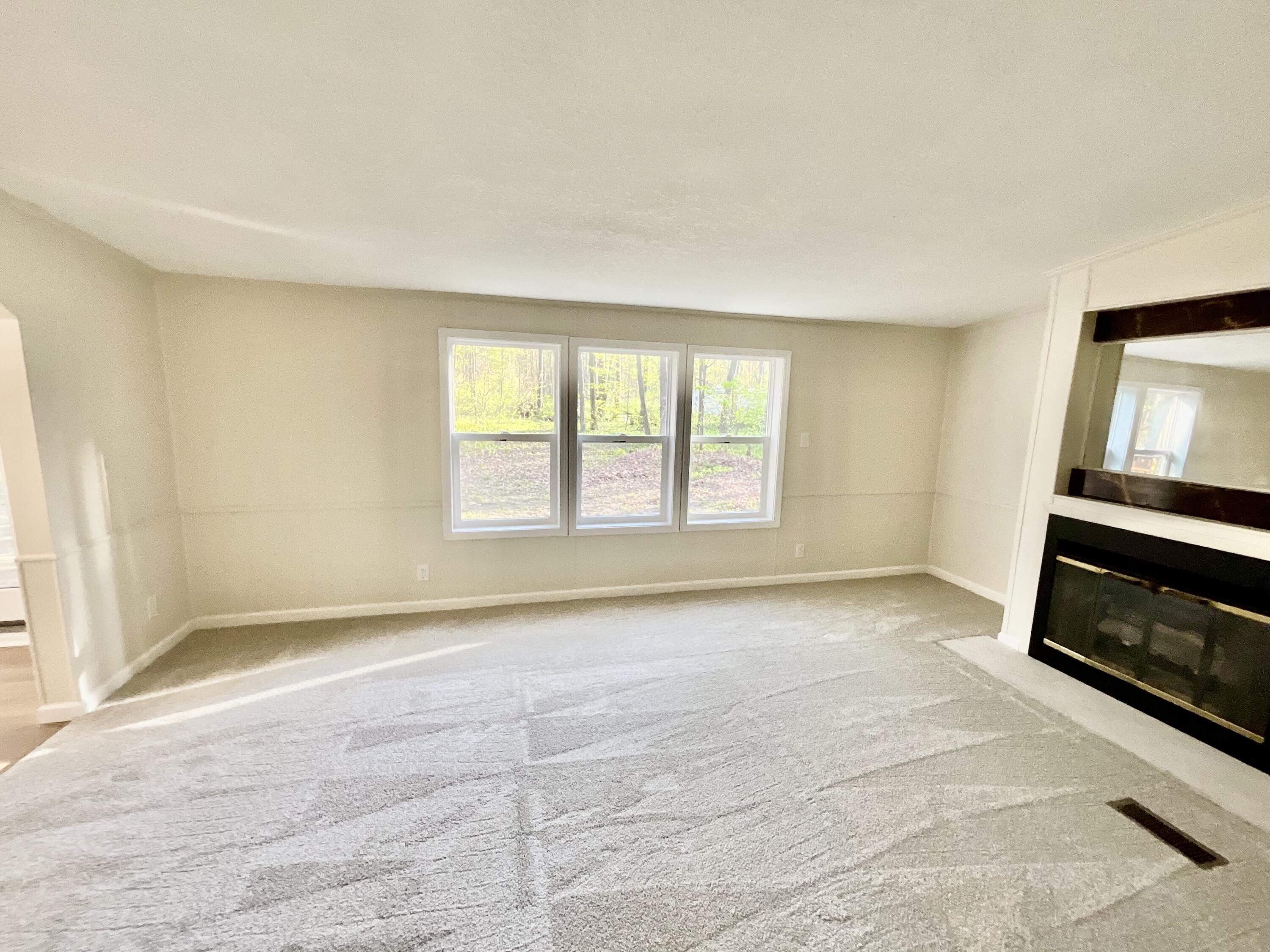 6249 East Tamarack Road Vestaburg, MI 48891 - Photo 8 of 26 Family Room View 1
