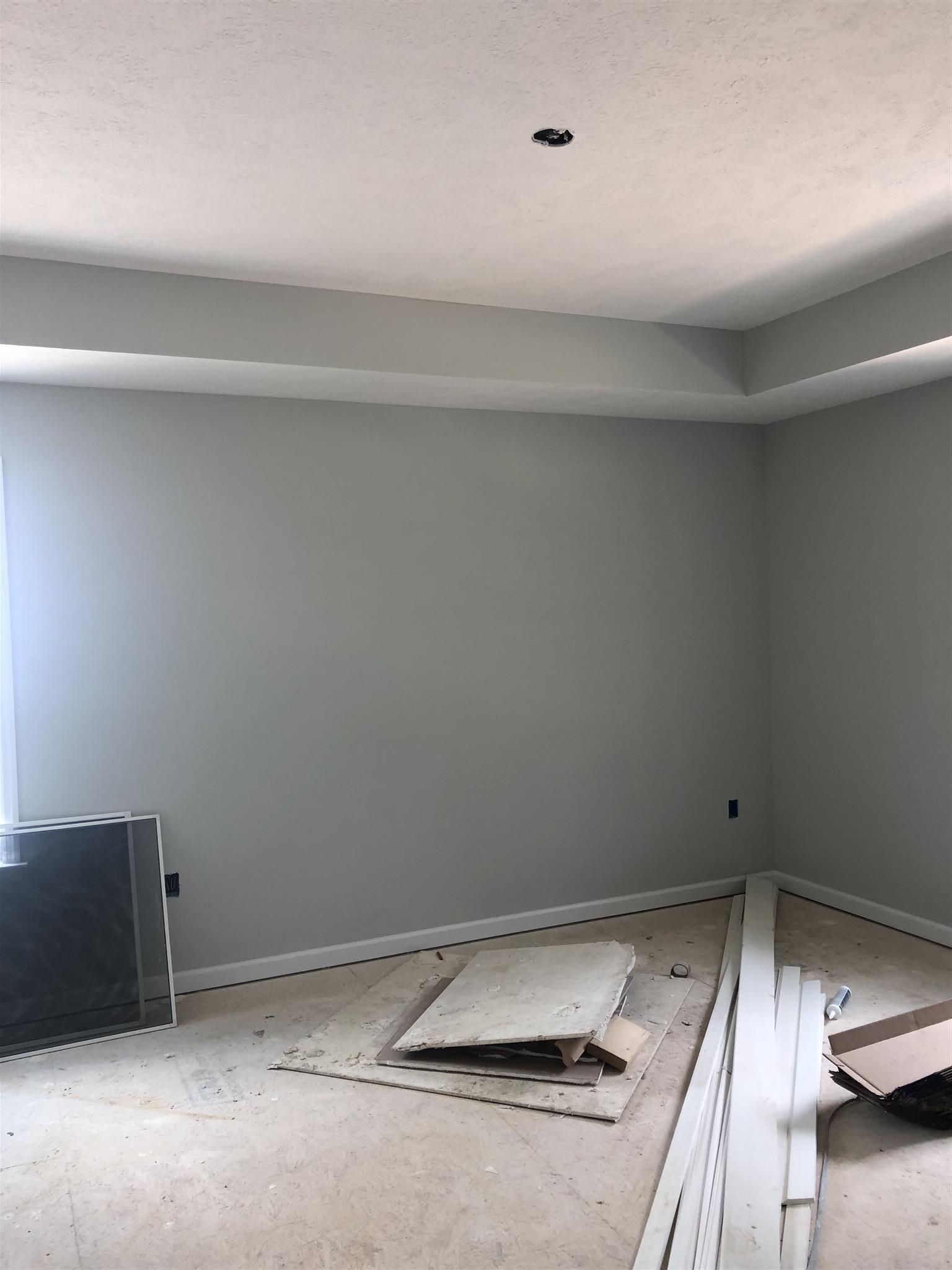 1105 Globe Road Lewisburg, TN 37091 - Photo 5 of 12 Master bedroom has tray ceilings.