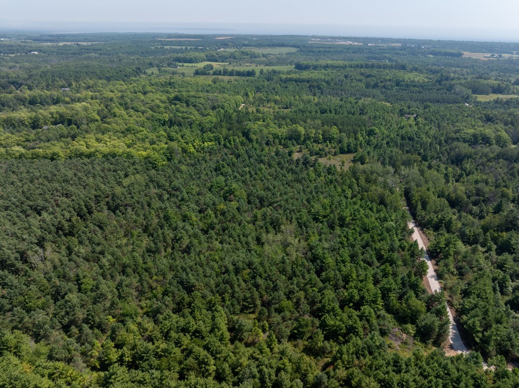 Lot 2 Scandia Road Sister Bay, WI 54234 - Photo 9 of 17