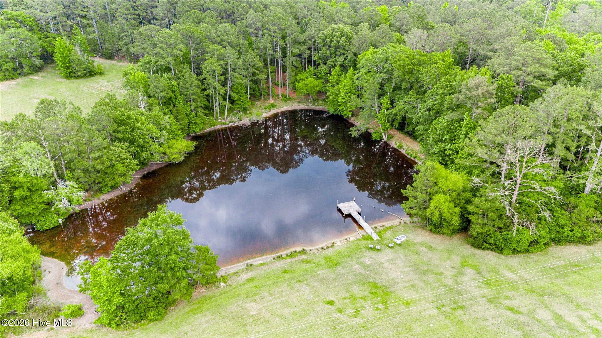 153 Barksdale Ferry Road McCormick, SC 29835 - Photo 78 of 91 Pond Aerial View