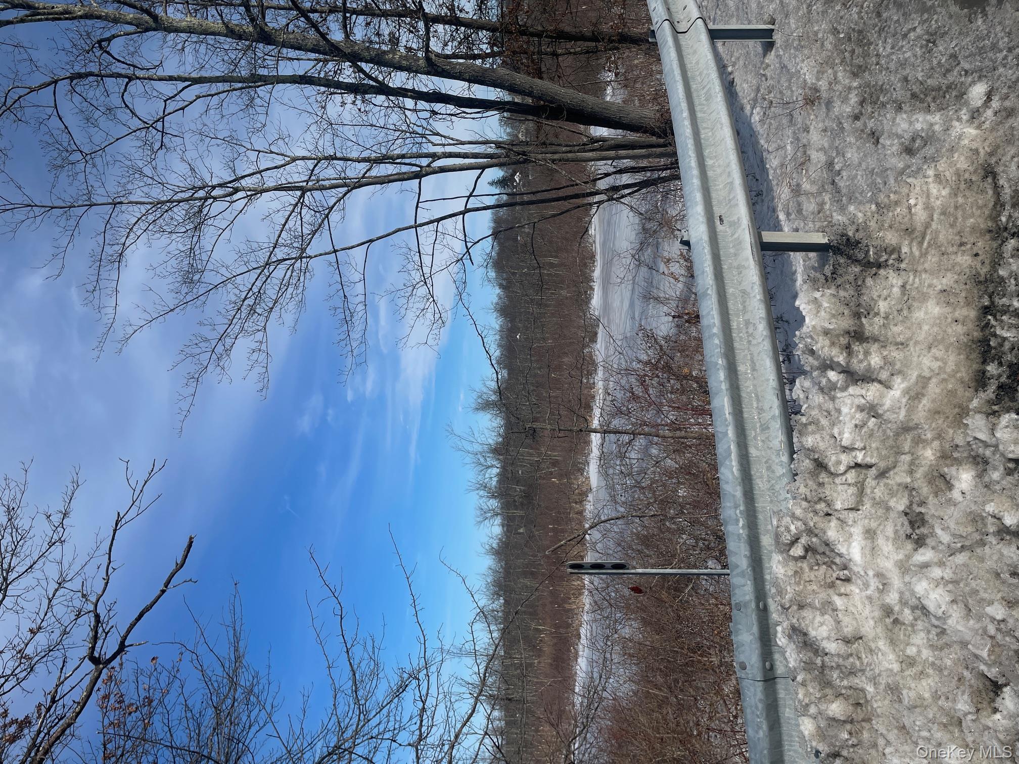 52 Rock Cut Road Walden, NY 12550 - Photo 7 of 10 View of snowy yard