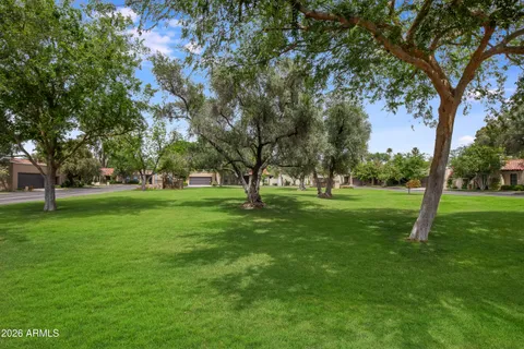 a view of a park with large trees