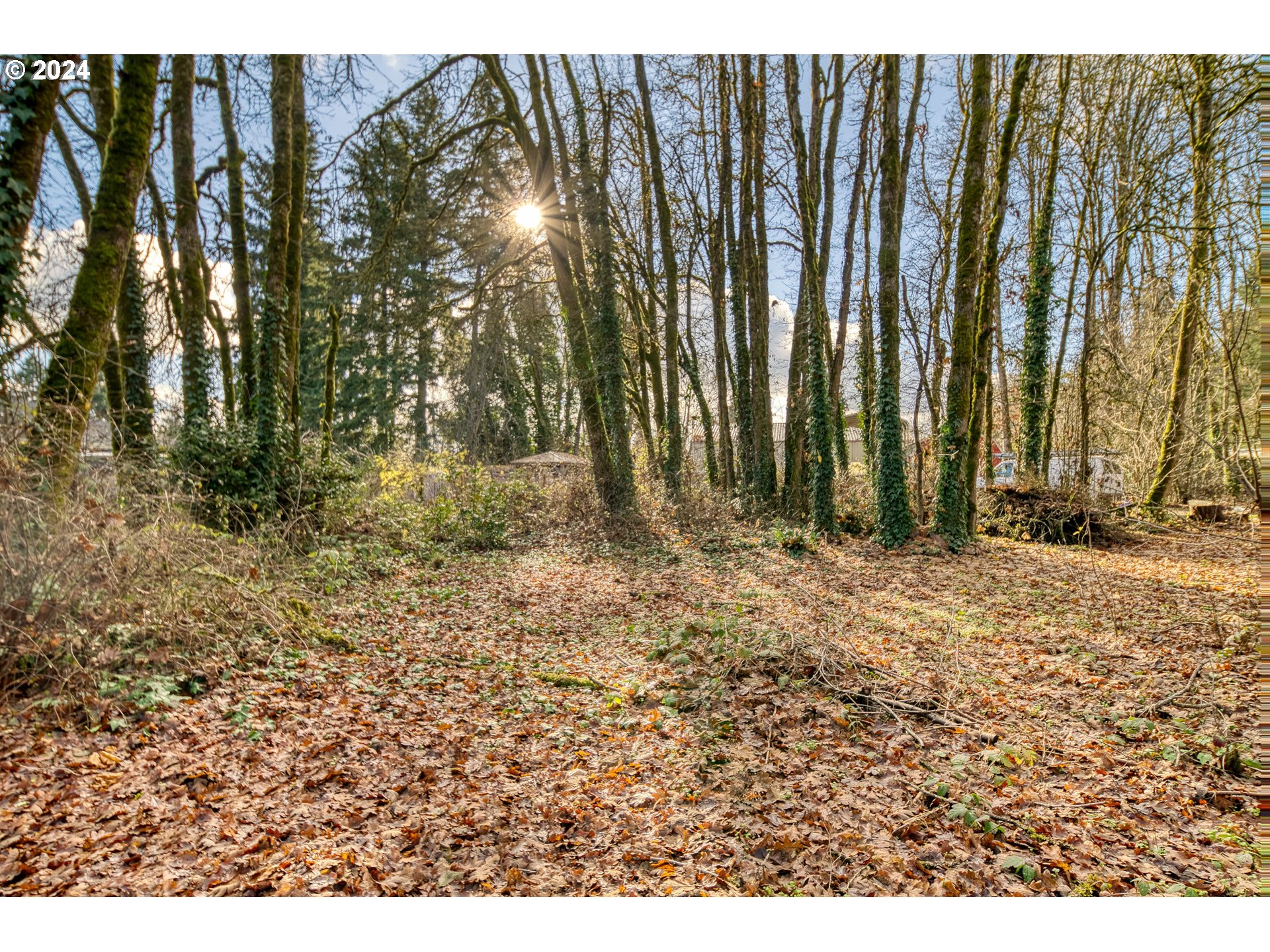 52447 Bird Road Scappoose, OR 97056 - Photo 42 of 48 Gallery Image 42