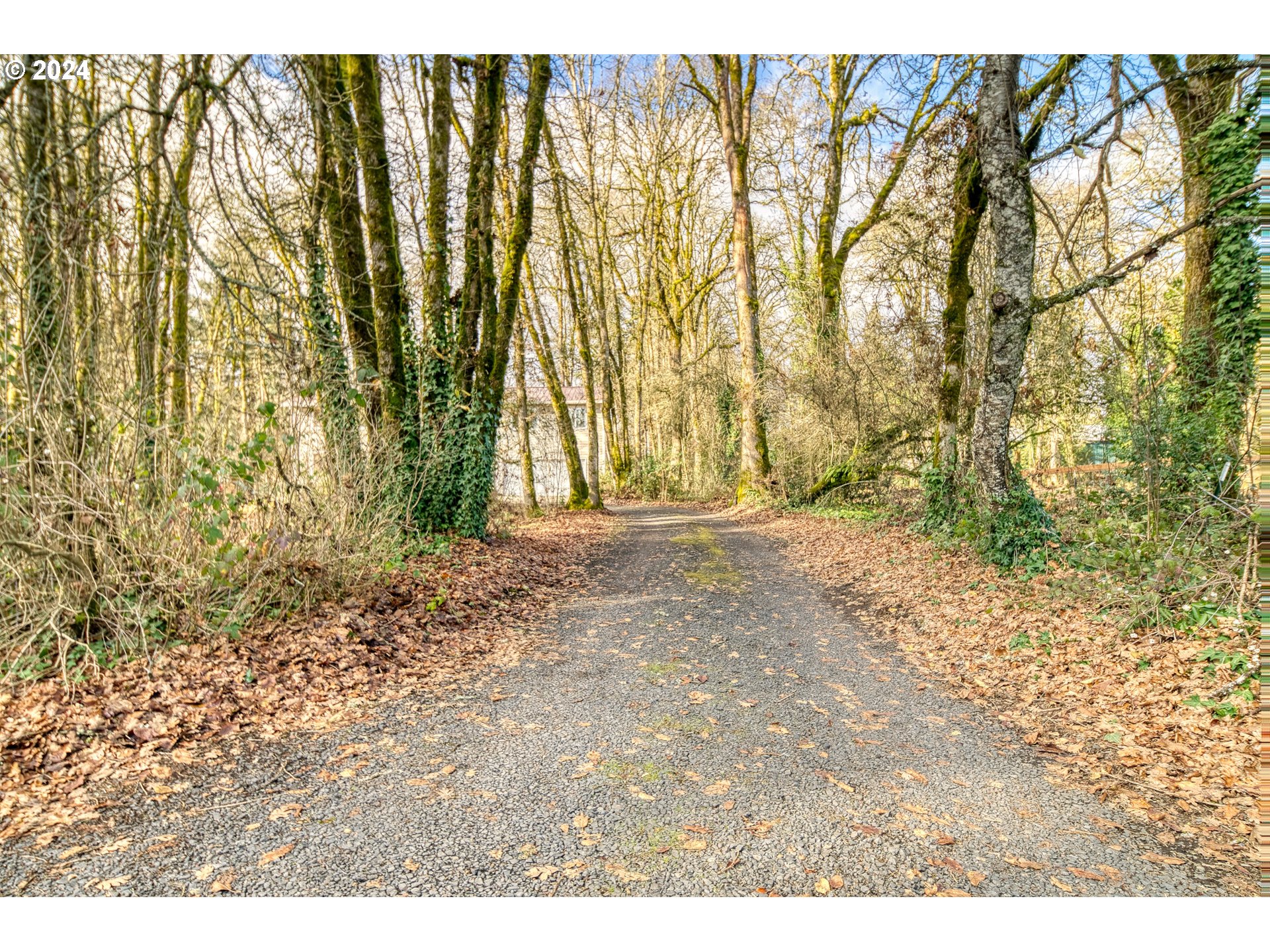52447 Bird Road Scappoose, OR 97056 - Photo 5 of 48 Gallery Image 5