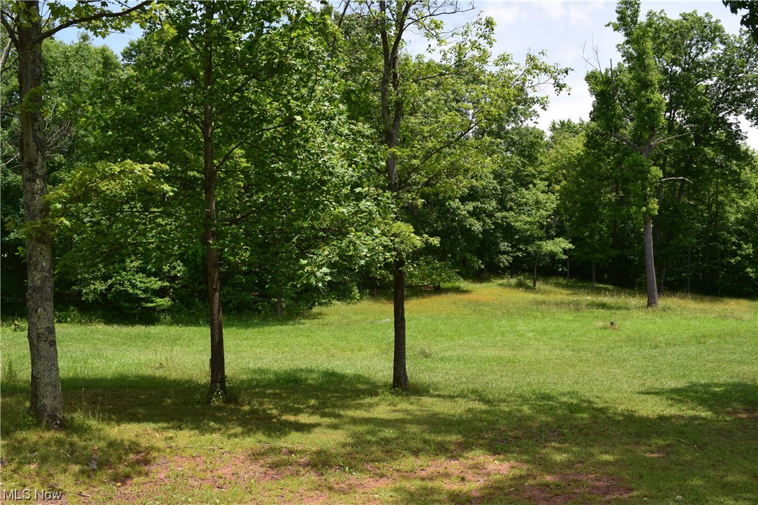53346 Fry Road Pleasant City, OH 43772 - Photo 29 of 29 Land