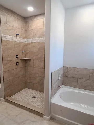 a bathroom with a bathtub and shower