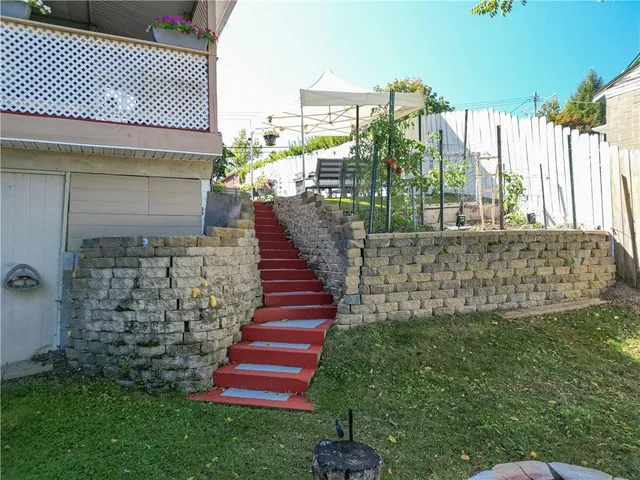 a view of a tree in a garden